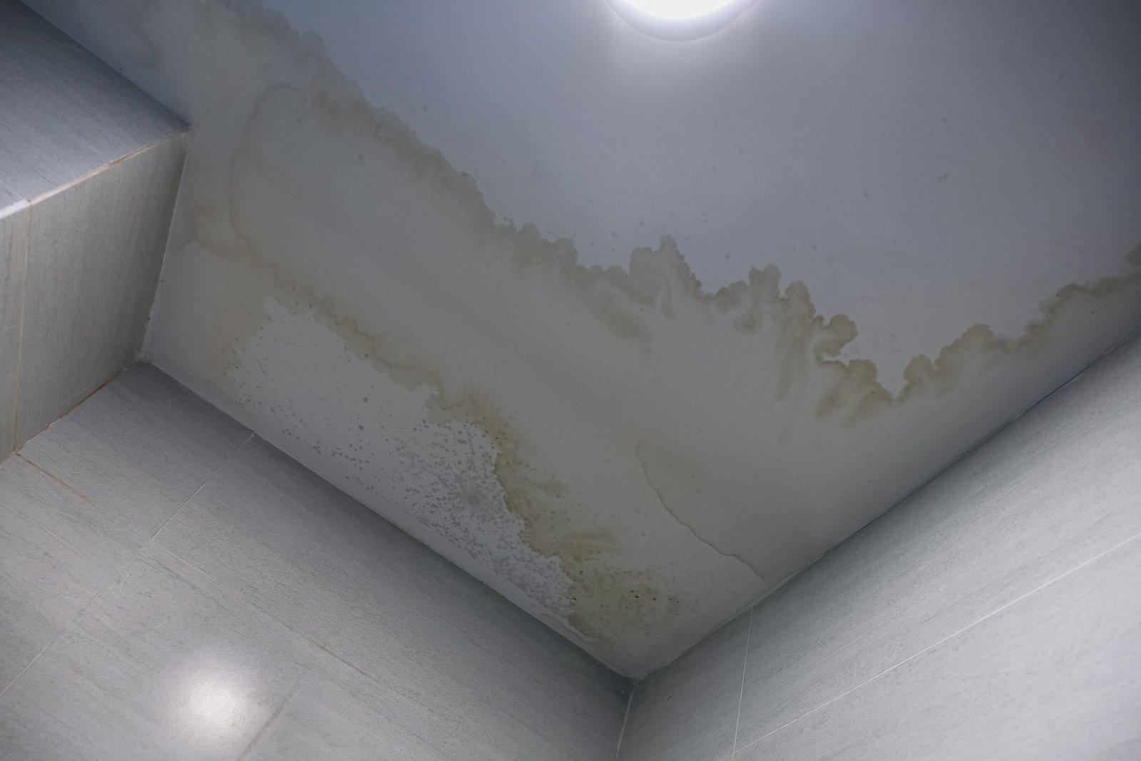 Dunkle Flecken an der Decke als Schimmelanzeichen