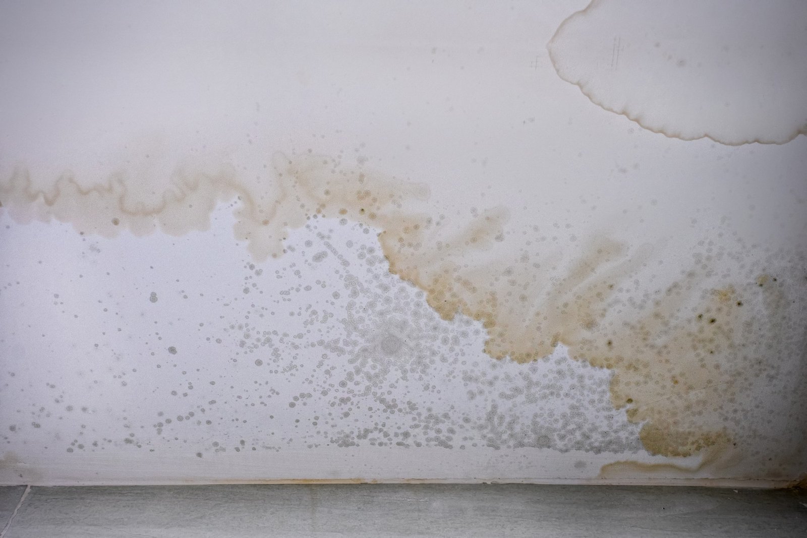 Wasserschaden und Feuchtigkeitsfleck an der Decke